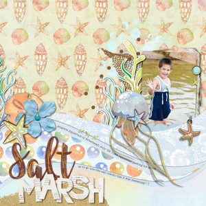 Salt Marsh