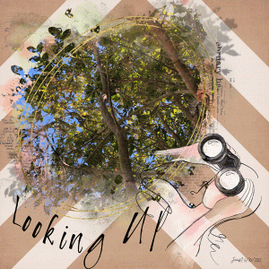 Photography_lookingup