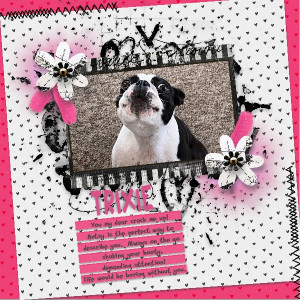 June-Journal-Trixie-600