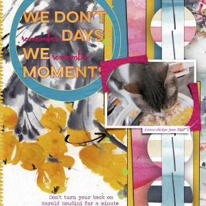 Harold-Houdini-stole-my-dinner-June-Style-Challenge-2022-take-2