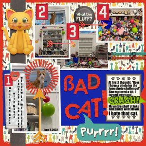 Bad Cat