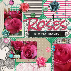 Roses