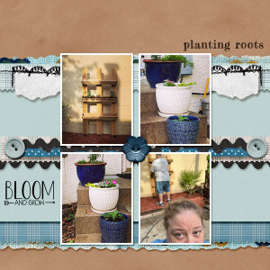 Planting-Roots
