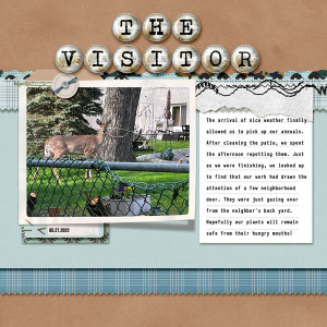 The-Visitor