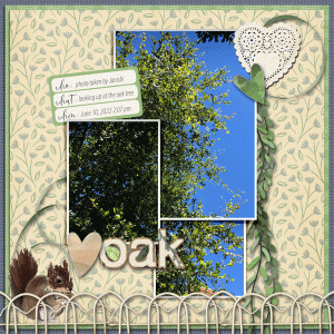 Fdd_oak