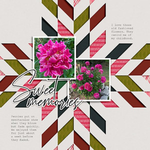 Soco_InTheBackground_No4_flowersgal_web