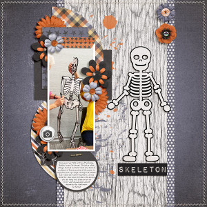Skeleton