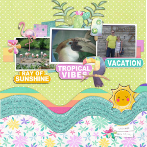 Gmiller_cath_layout2