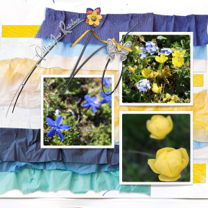 220611_flowers