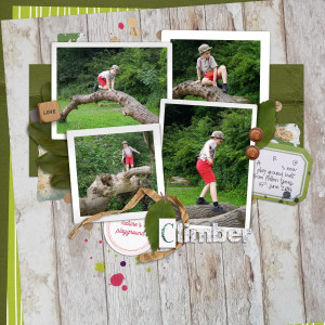 Climber - Nature's Playground