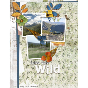 into the WIld