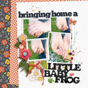 Baby Frog