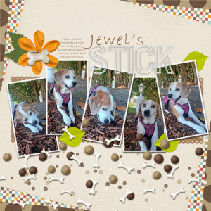 June Slow Scrap - Jewels Stick