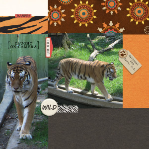 Rawr
