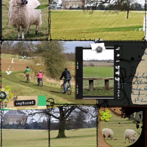 Ickworth Park