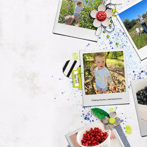 picking cherries and blueberries