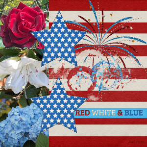 Inspiration_redwhite&blue