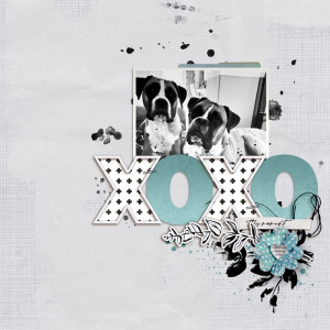 XOXO