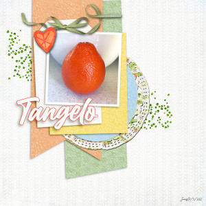 Wk1_LayerStyle_tangelo