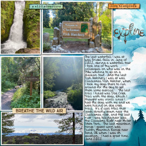 2022-07-TLP-Journal-Challenge