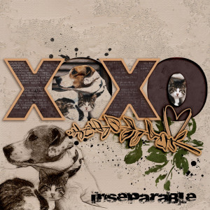 Inséparable