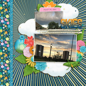Skies