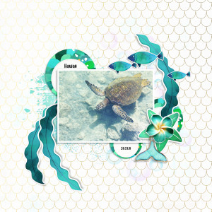 180328_turtle