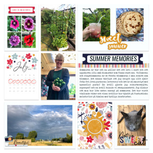 Week 27a 2022