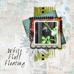 Wk2_PhotoMats_whiteflufffloating