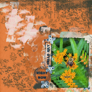 Bumblebee On Milkweed July 2022