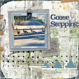 Summer-School wk2 Goose-Stepping