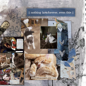 Extra Large Cat Edition There Were Seven Now There Are 3 2022 Right Side