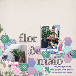 Flor-de-maio