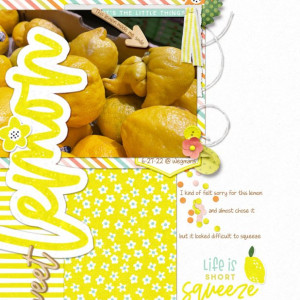 07speedy-lemon