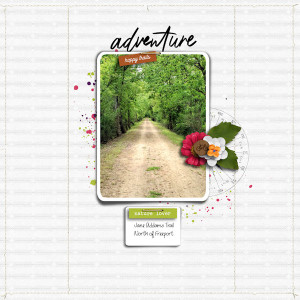 Jane Addams Trail