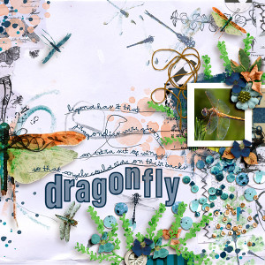SOSN_july27_RJ_Dragonfly