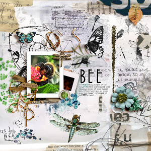 BEE