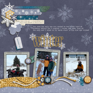 4-wheel-sled