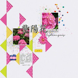 Hydrangeas