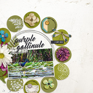 Jul22_Scraplift_Lilypads