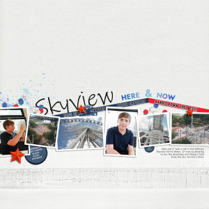 Atlanta Skyview
