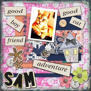 Good Boy, Sam