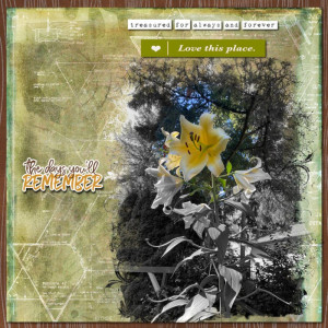 2022-08-TLP-Scraplift-Challenge