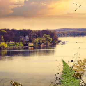 Changing Seasons