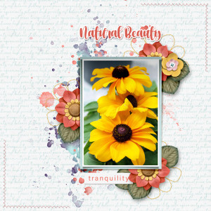 Natural Beauty