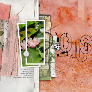 Lotus