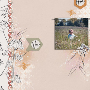Here Now