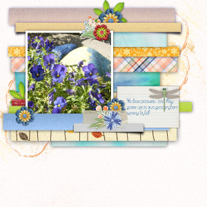 Pansies