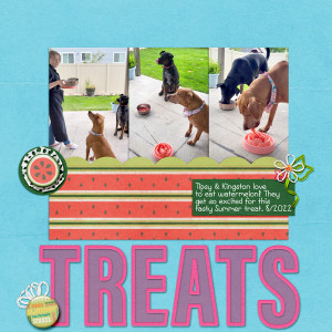 SummerTreats