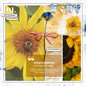 Sunflower